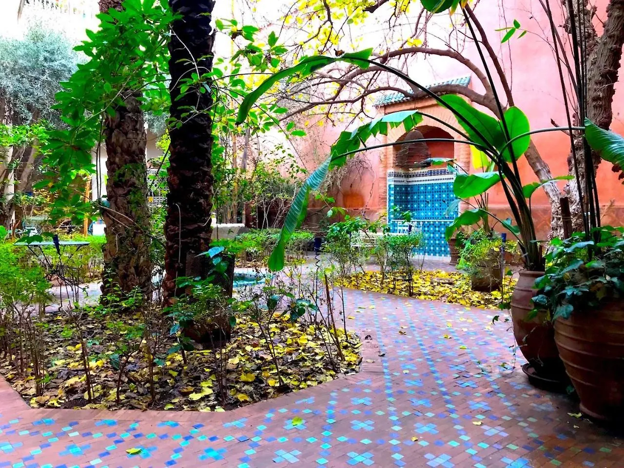 Marrakech-Riad Alain Marrakesh